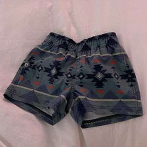 Toddler boys swim trunks (2T)